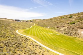 013_08-7429_golden_bear_loop08_356