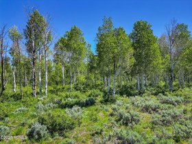 9-web-or-mls-2980-n-wolf-creek-ranch-rd-