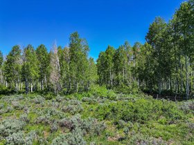 11-web-or-mls-2980-n-wolf-creek-ranch-rd